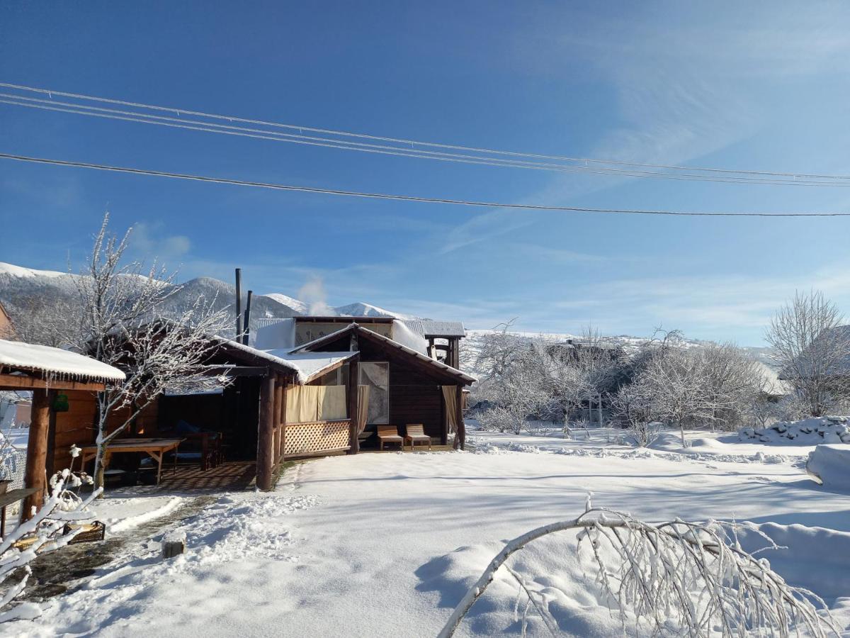 Садиба Райський Куточок Synewyr Exterior foto
