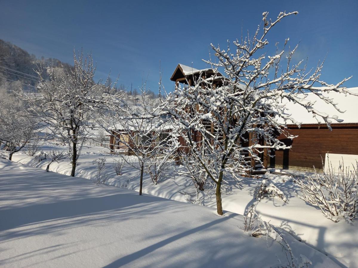 Садиба Райський Куточок Synewyr Exterior foto